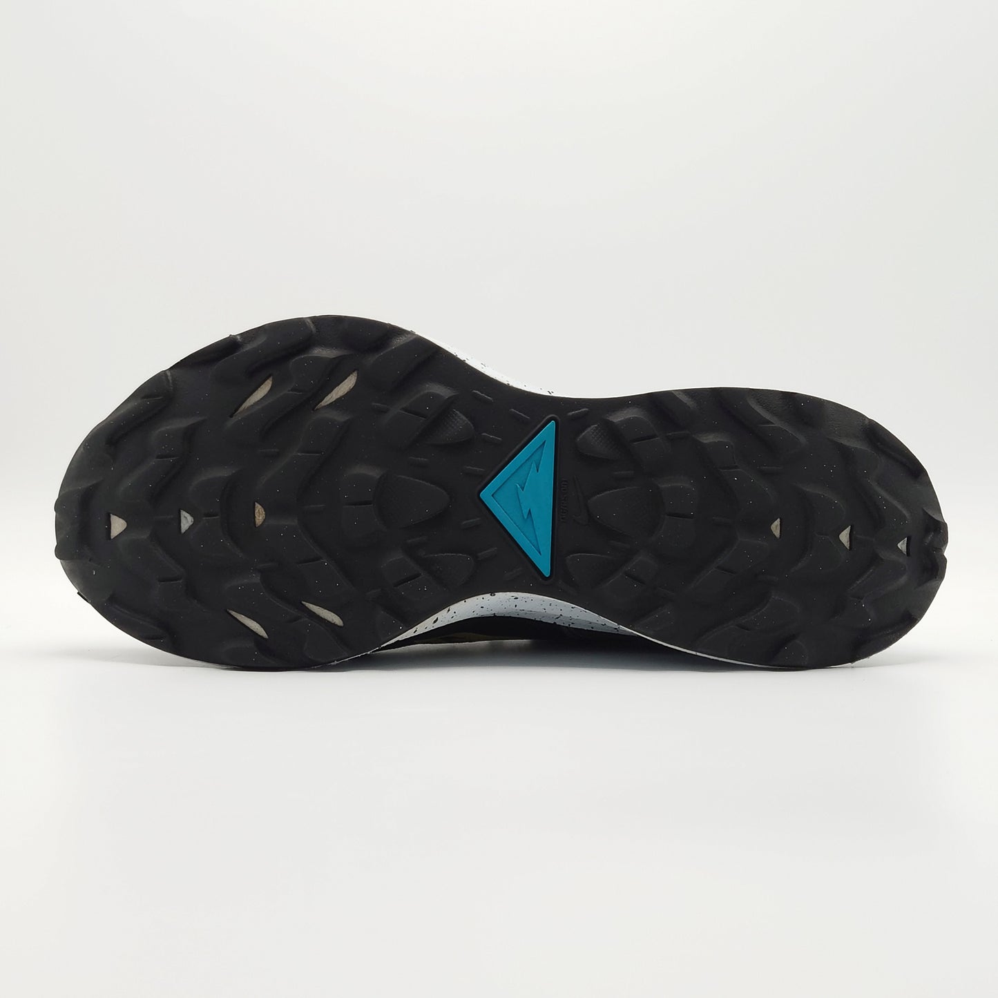 Nike Pegasus Trail 2