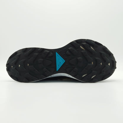 Nike Pegasus Trail 2