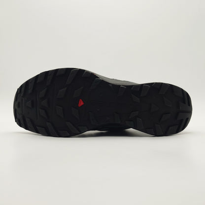 Salomon X Crest GTX