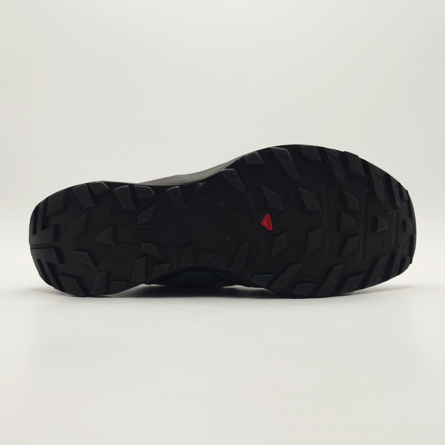 Salomon X Crest GTX