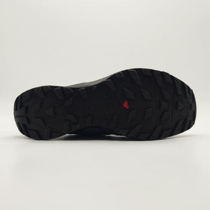 Salomon X Crest GTX