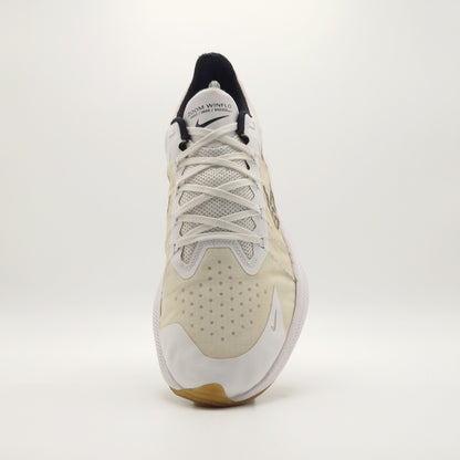 Nike Winflo 8