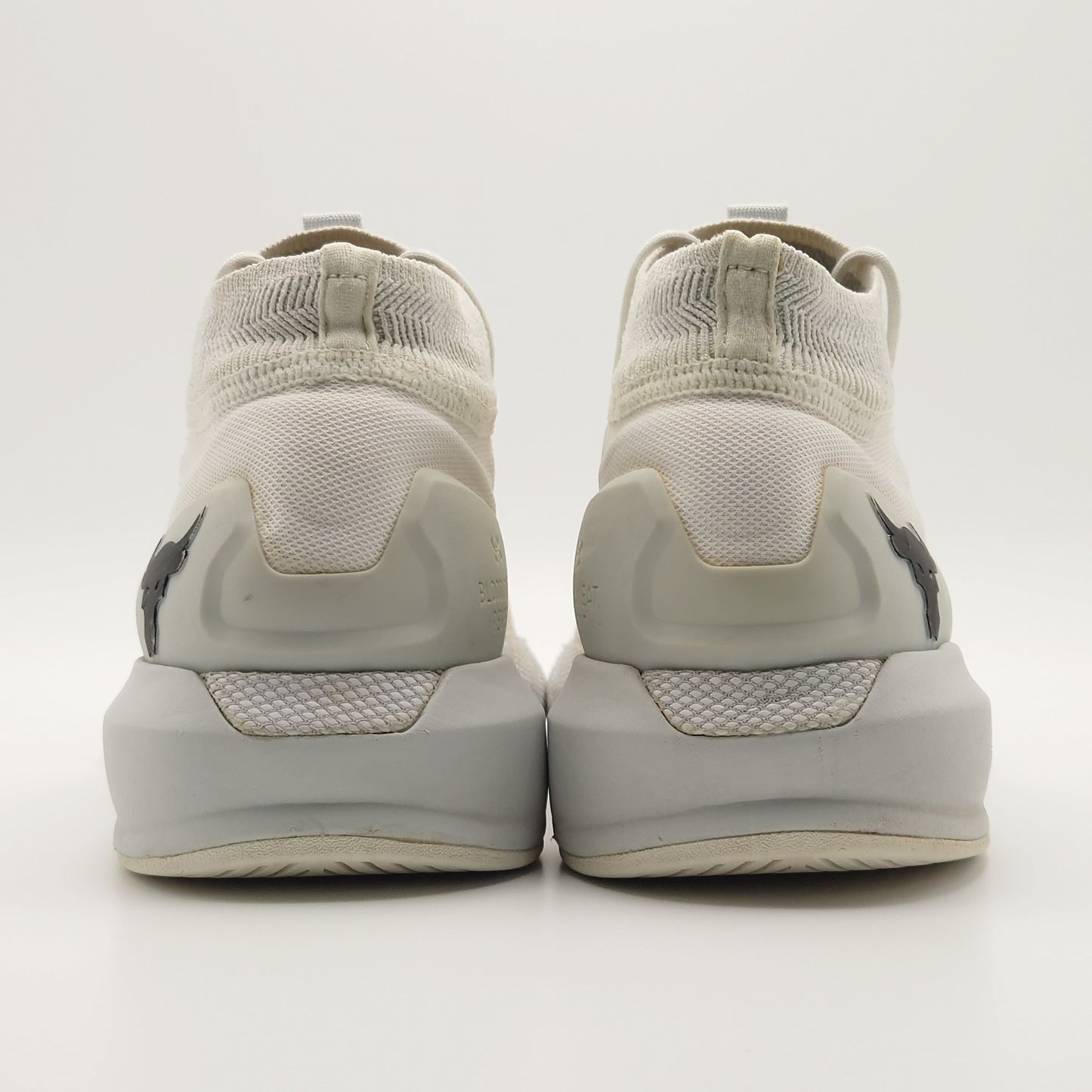 Under Armour Project Rock 2