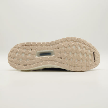 adidas UltraBoost 19