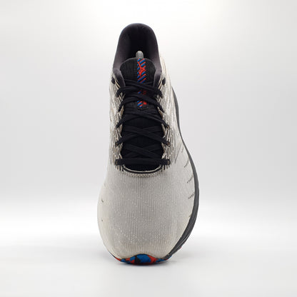 Mizuno Wave Rider 26