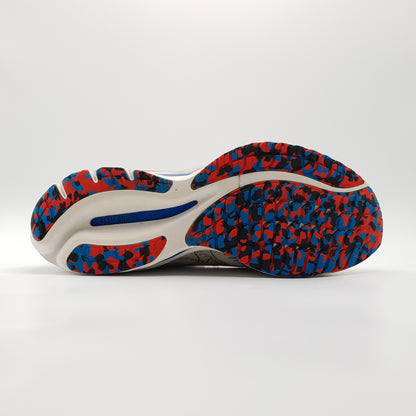 Mizuno Wave Rider 26