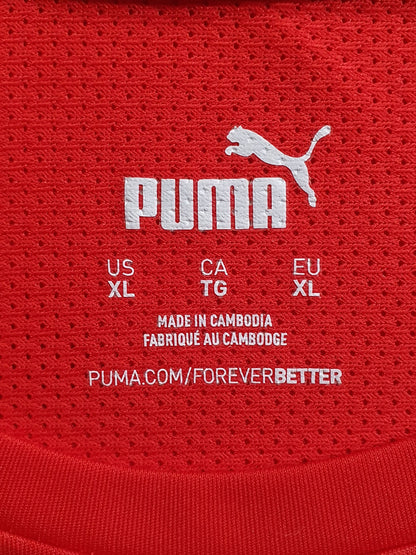 Puma Cup Training Jersey