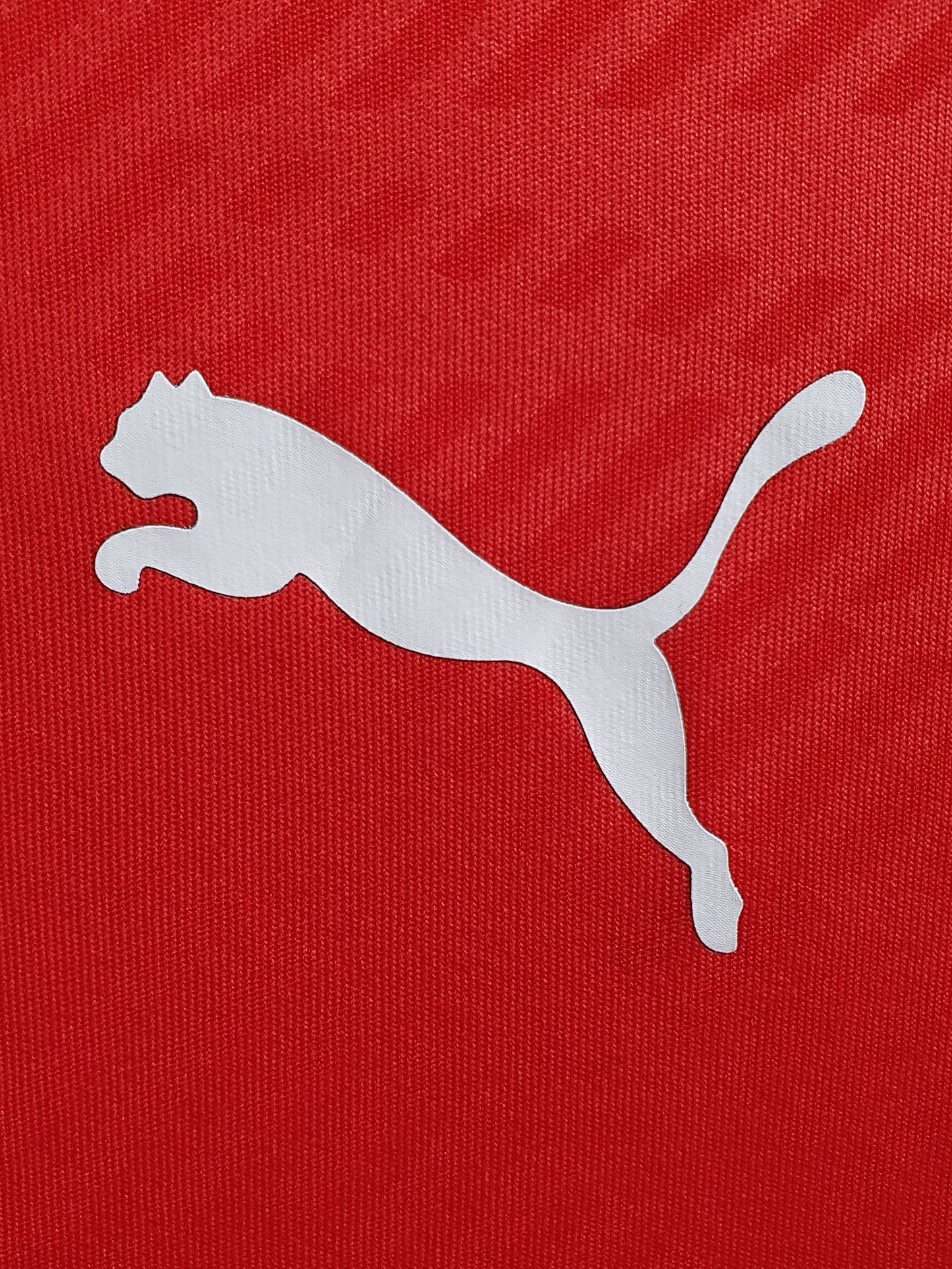 Puma Cup Training Jersey
