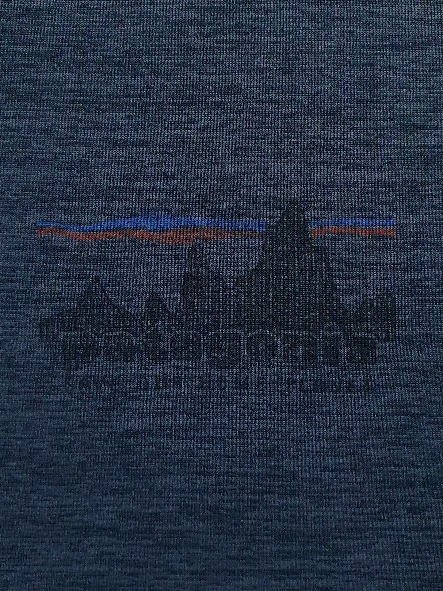 Patagonia Capilene Cool Daily