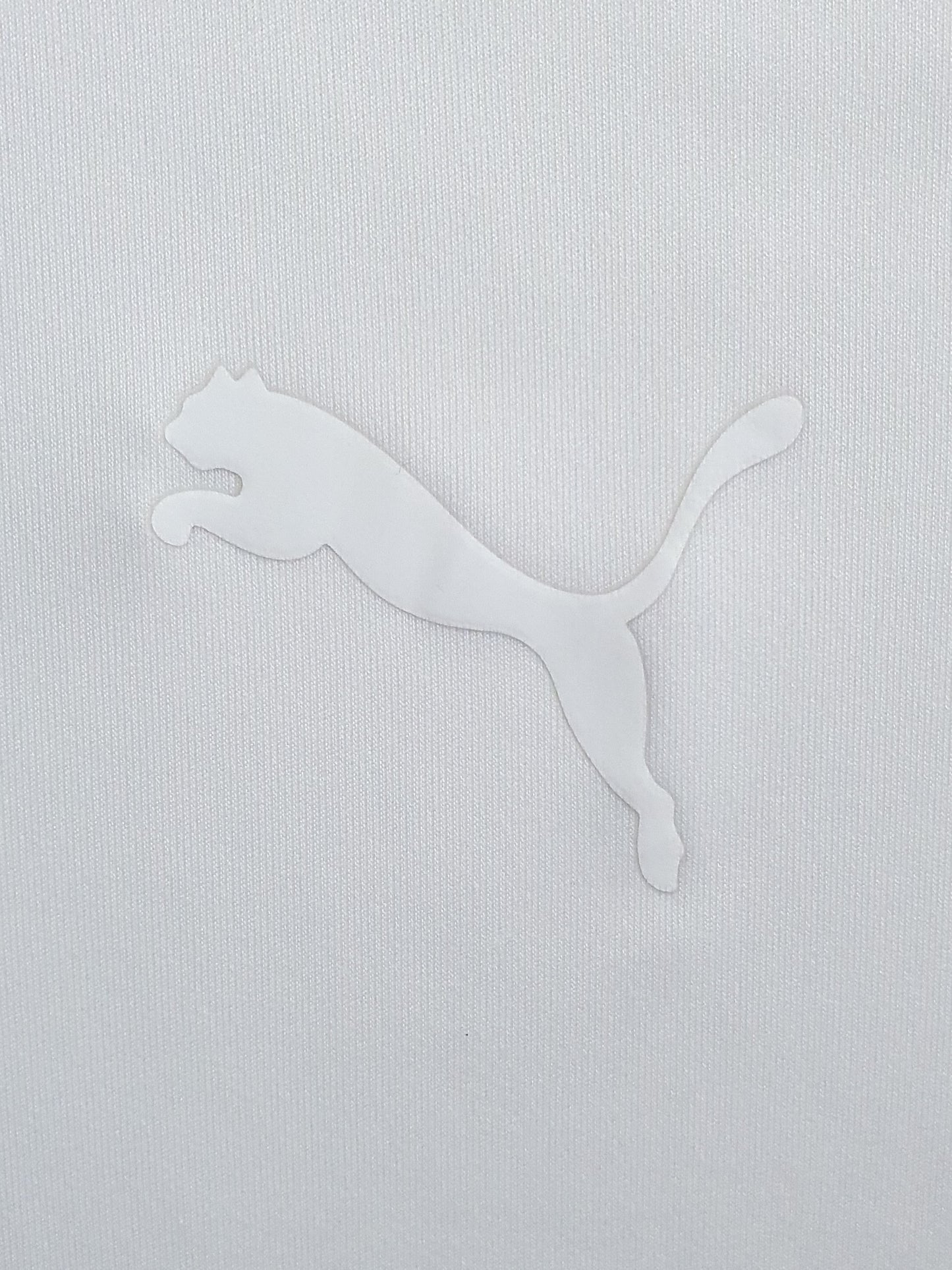 PUMA teamFLASH Football