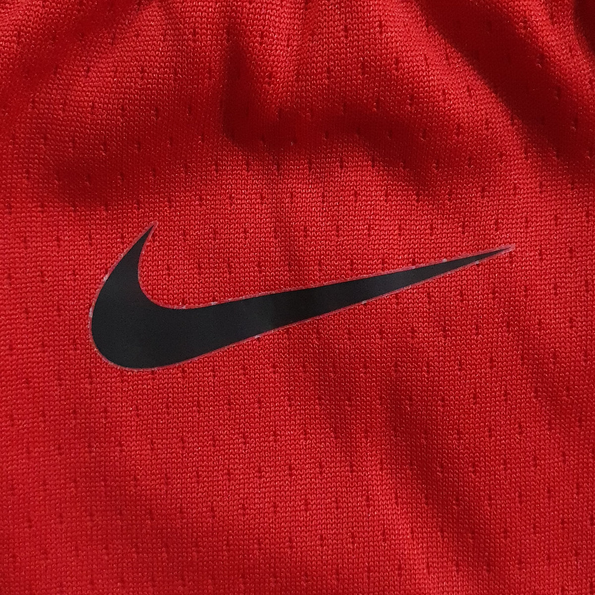 Nike Toronto Raptors Icon Swingman Shorts
