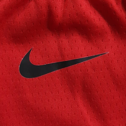 Nike Toronto Raptors Icon Swingman Shorts