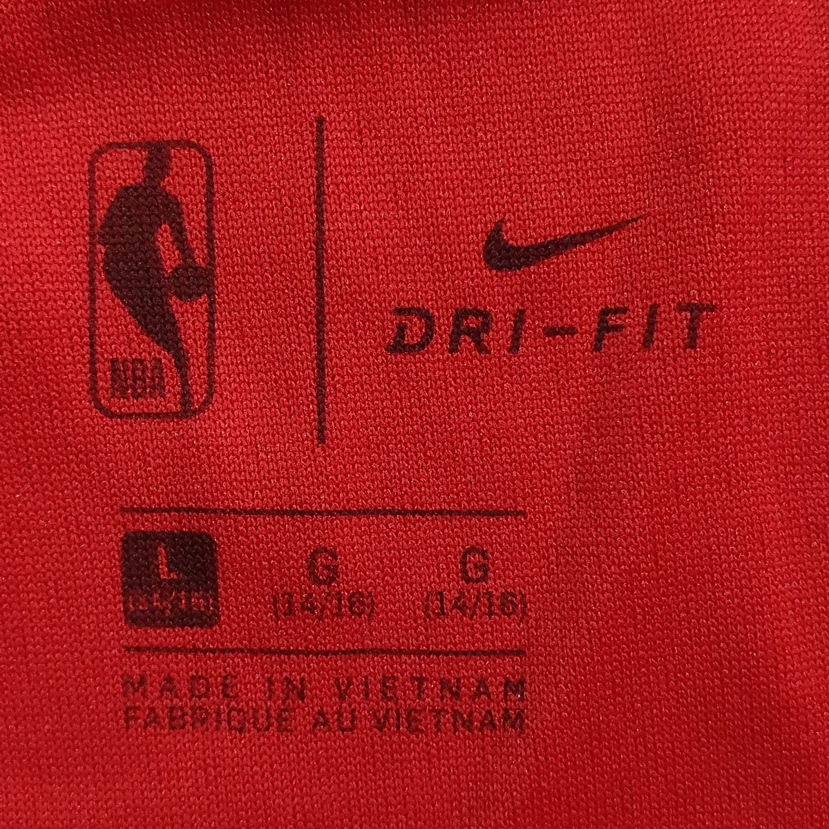 Nike Toronto Raptors Icon Swingman Shorts