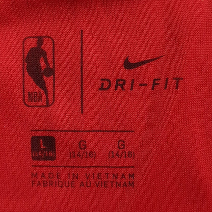 Nike Toronto Raptors Icon Swingman Shorts