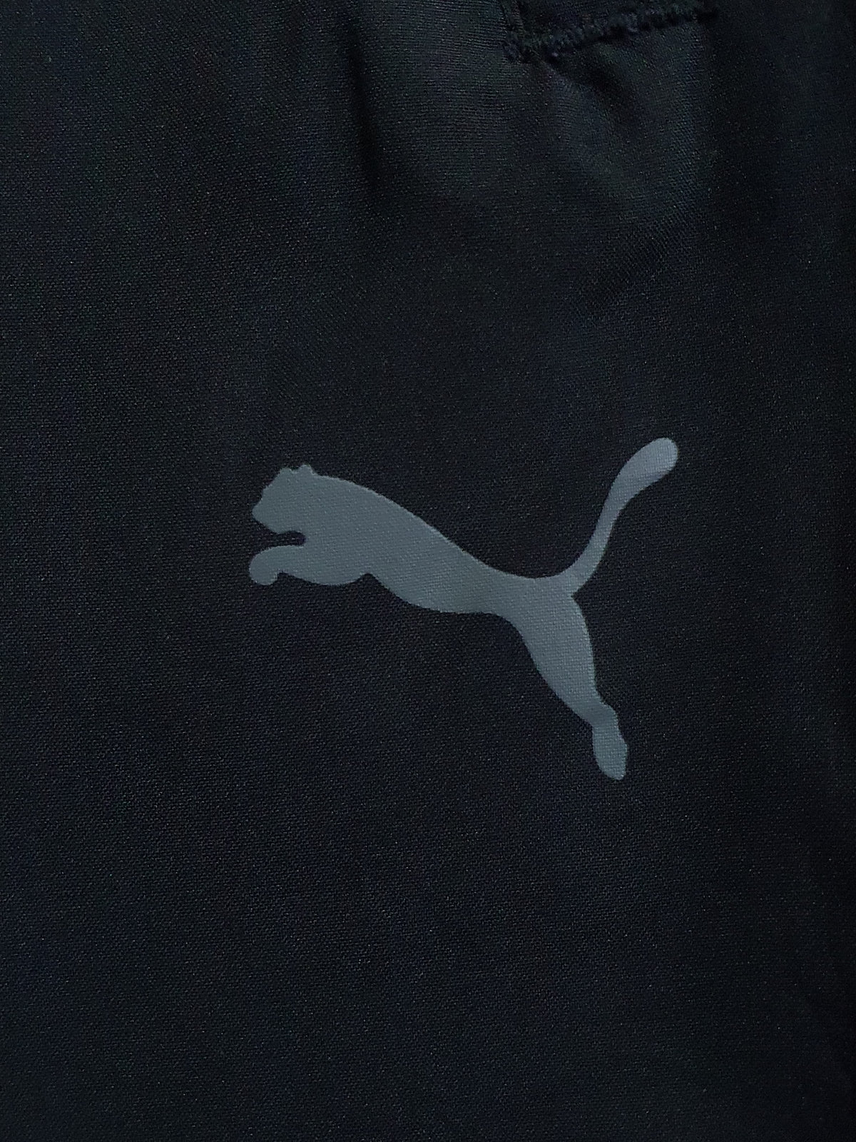 Puma performance woven training shorts