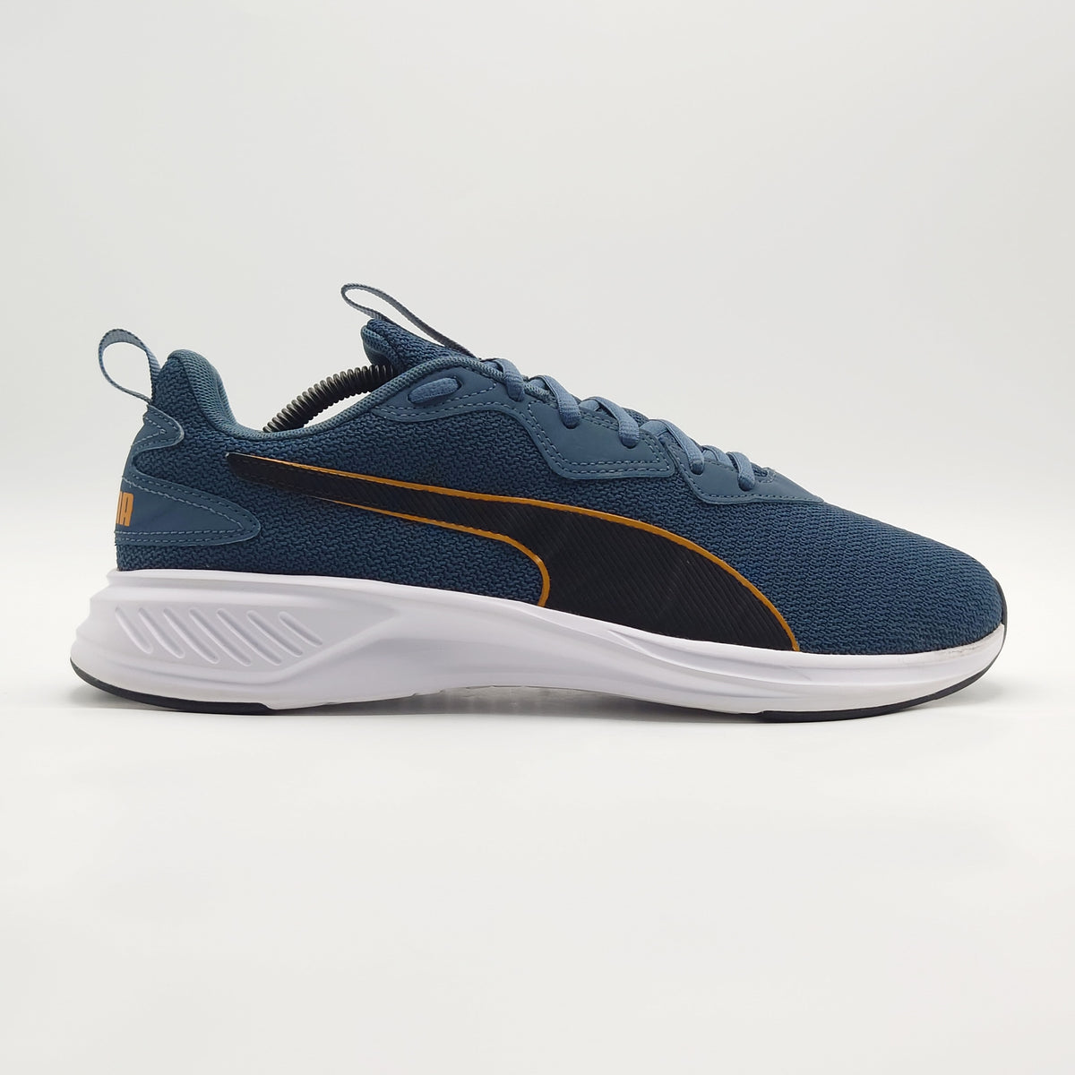 Puma Incinerate