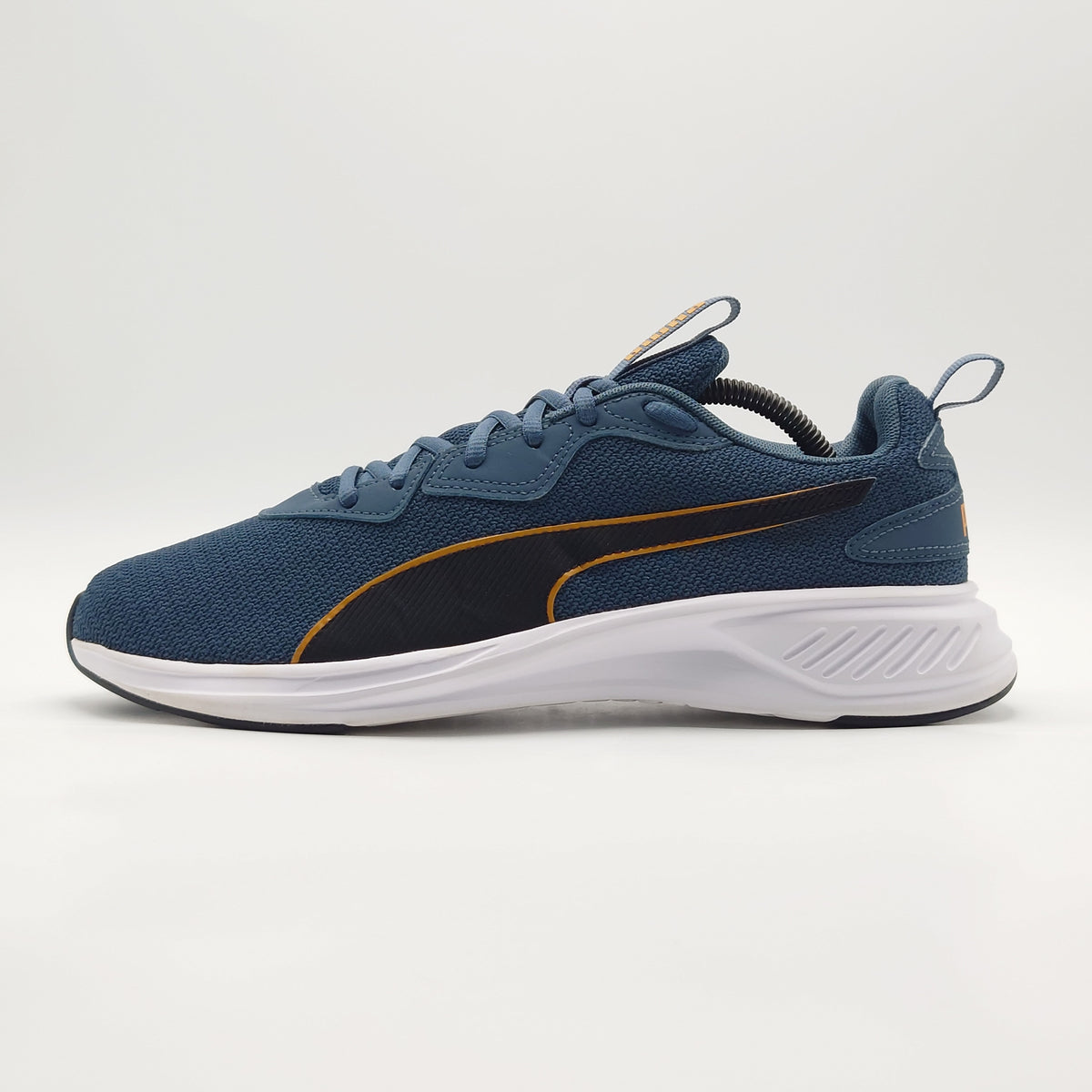 Puma Incinerate