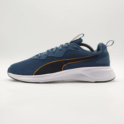 Puma Incinerate