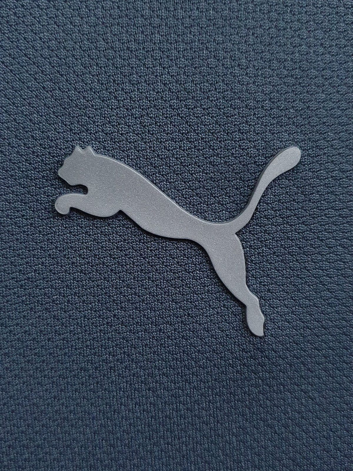 Puma ftblPLAY dryCELL Graphic