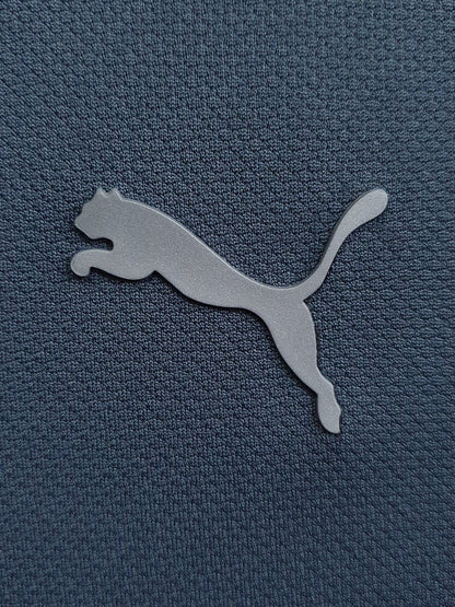 Puma ftblPLAY dryCELL Graphic