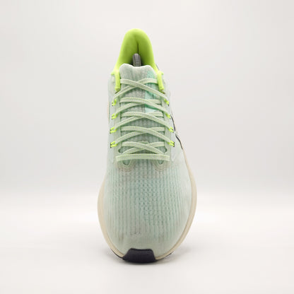 Nike Air Zoom Pegasus 39