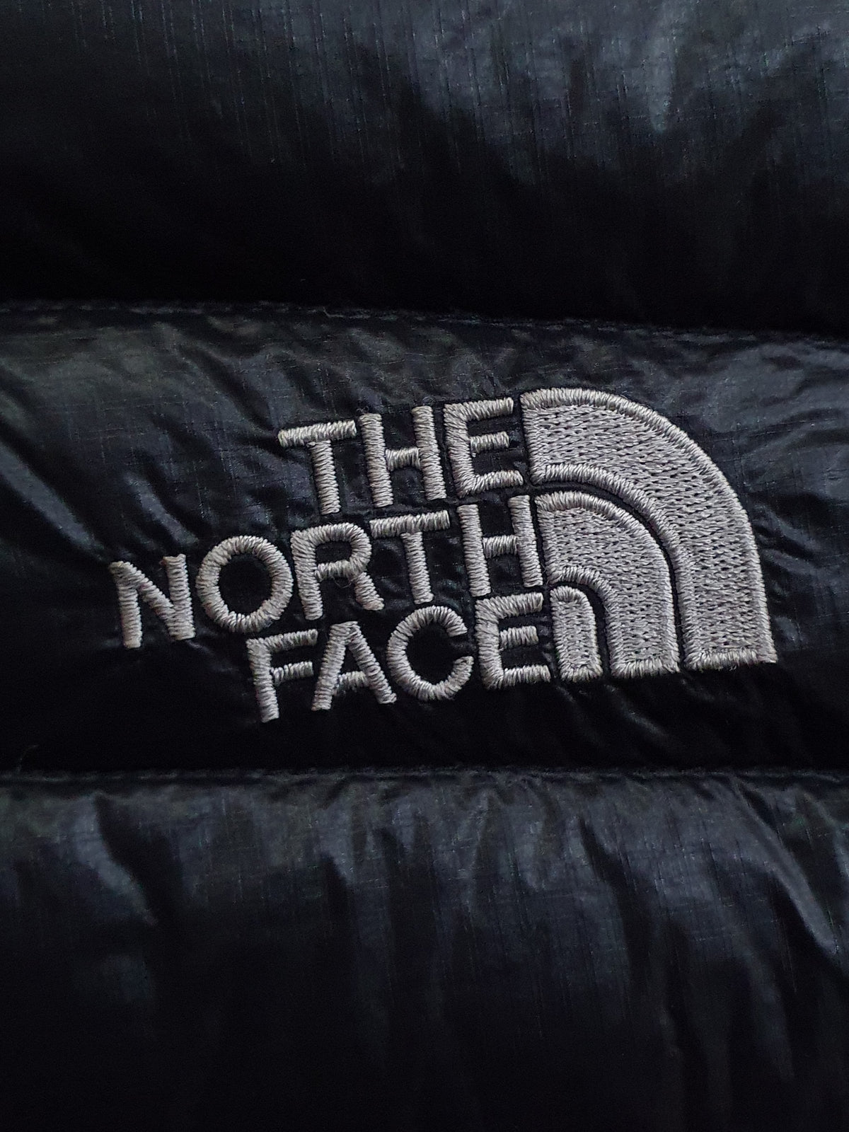 The North Face Summit Series 800 Down Puffer Jacket