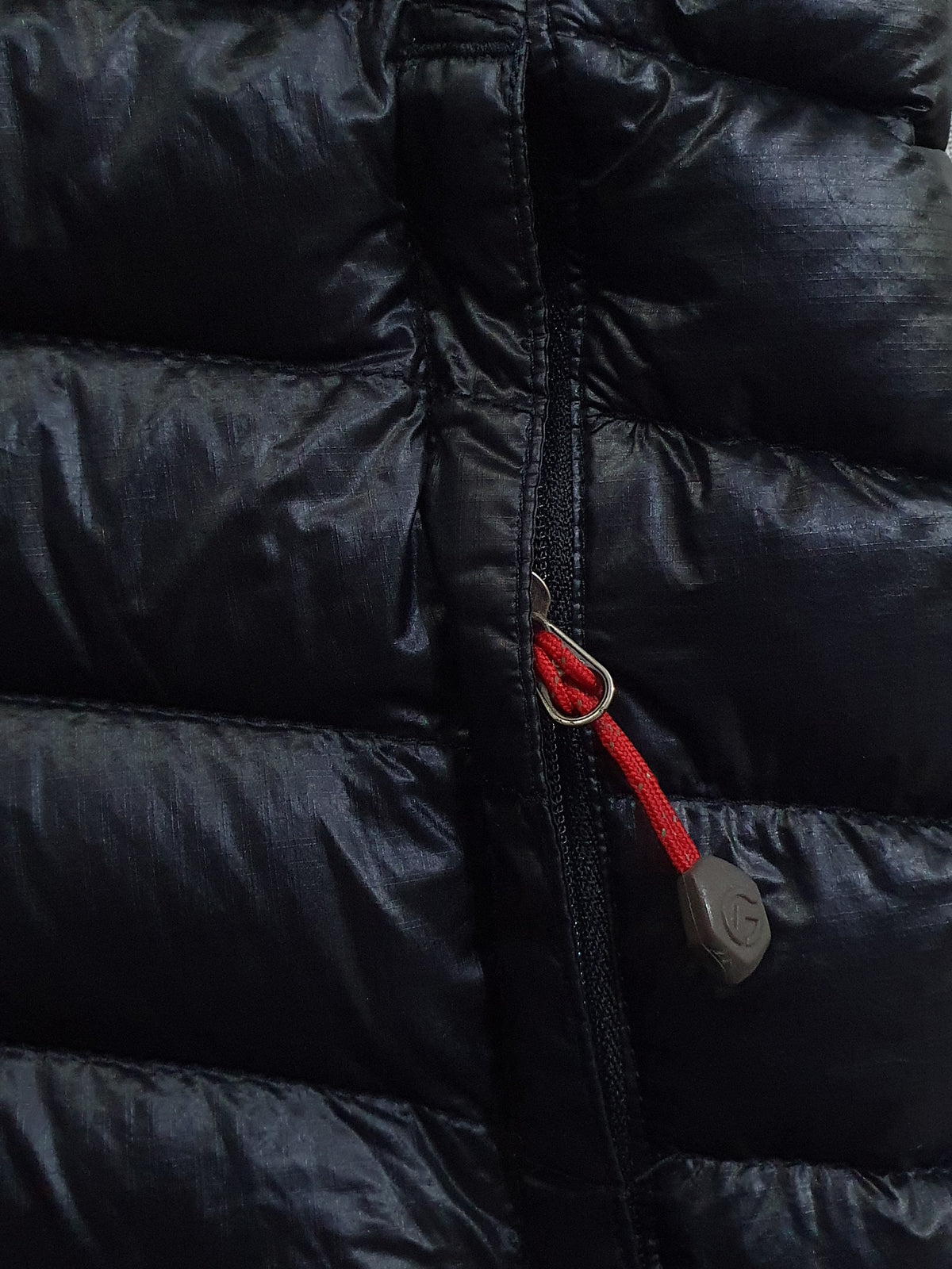The North Face Summit Series 800 Down Puffer Jacket