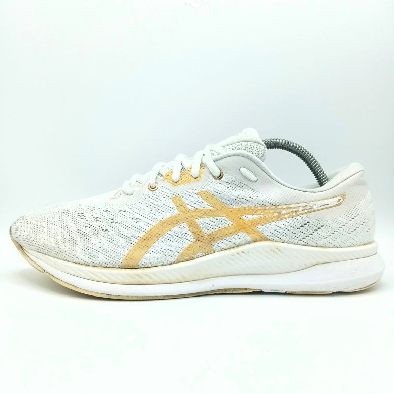 Asics EVORIDE