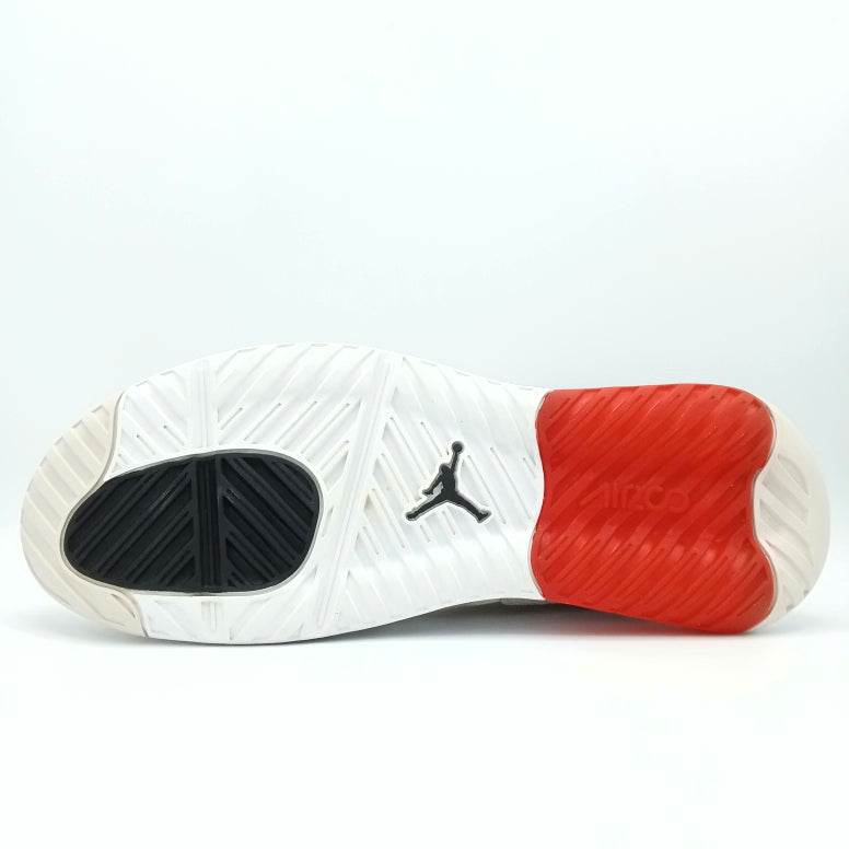 NIKE Jordan Max 200 White Challenge