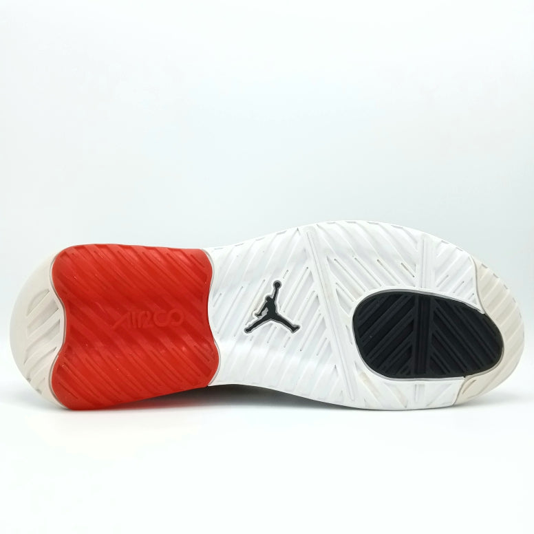 NIKE Jordan Max 200 White Challenge