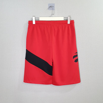 Nike Toronto Raptors Icon Swingman Shorts