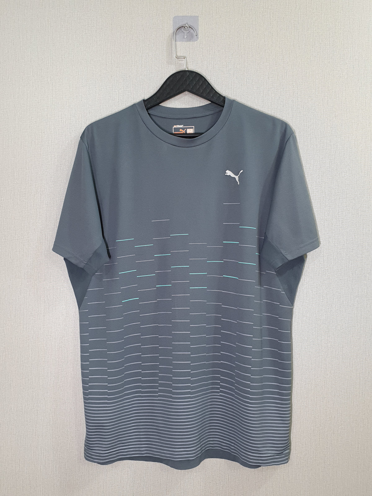 Puma ftblPLAY dryCELL Graphic