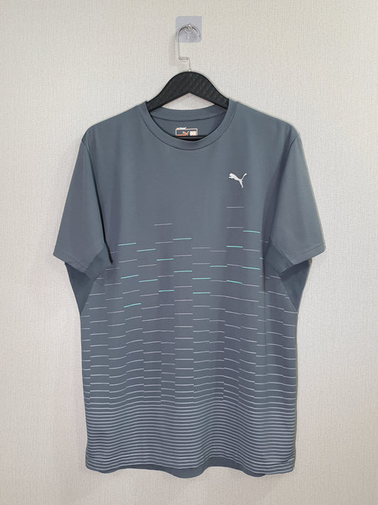 Puma ftblPLAY dryCELL Graphic